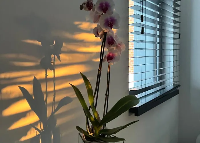 Baltic Riviera With Private Sauna Appartement Gdańsk