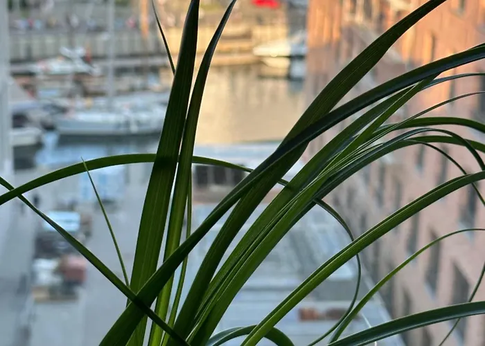 Baltic Riviera With Private Sauna *