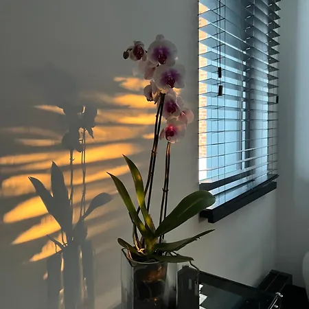 Baltic Riviera With Private Sauna Apartament Gdańsk