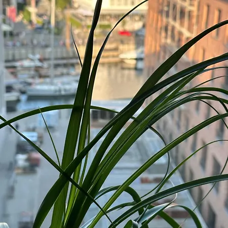 Baltic Riviera With Private Sauna *