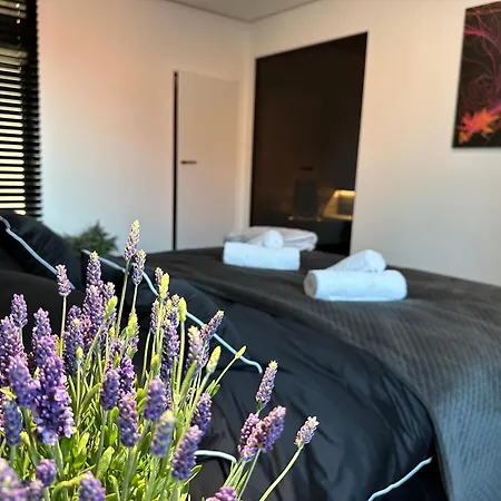 Baltic Riviera With Private Sauna * Gdańsk