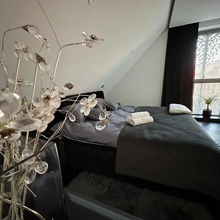 Baltic Riviera With Private Sauna * 格但斯克